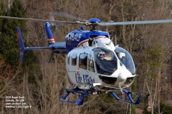 N484LF