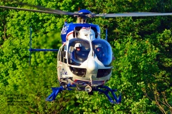 N482LF