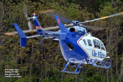 N481LF