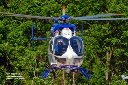 N485LF