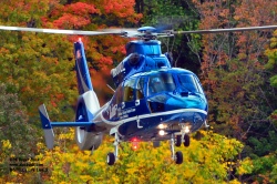 N600LL