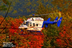 N333LF