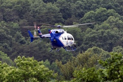 N485LF