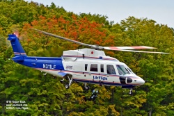 N311LF