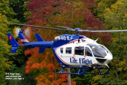 N481LF