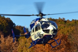 N484LF