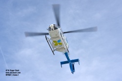 N911EF